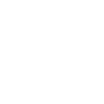 University of Dresden